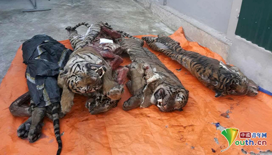 特种兵们被 的合不拢腿
