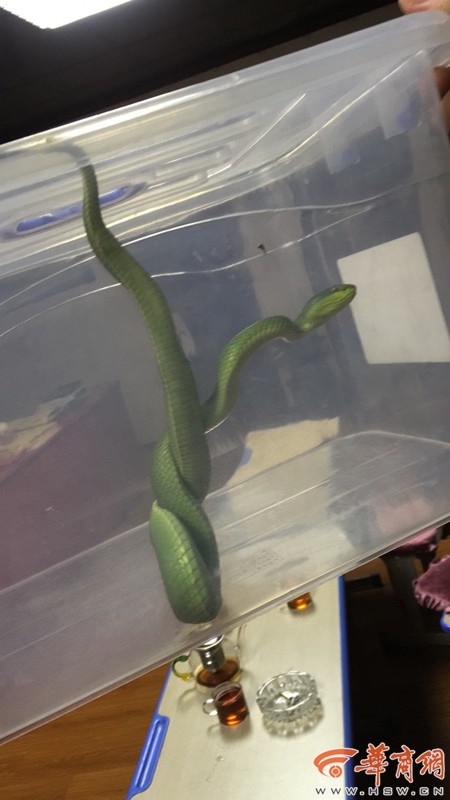 97色色影院