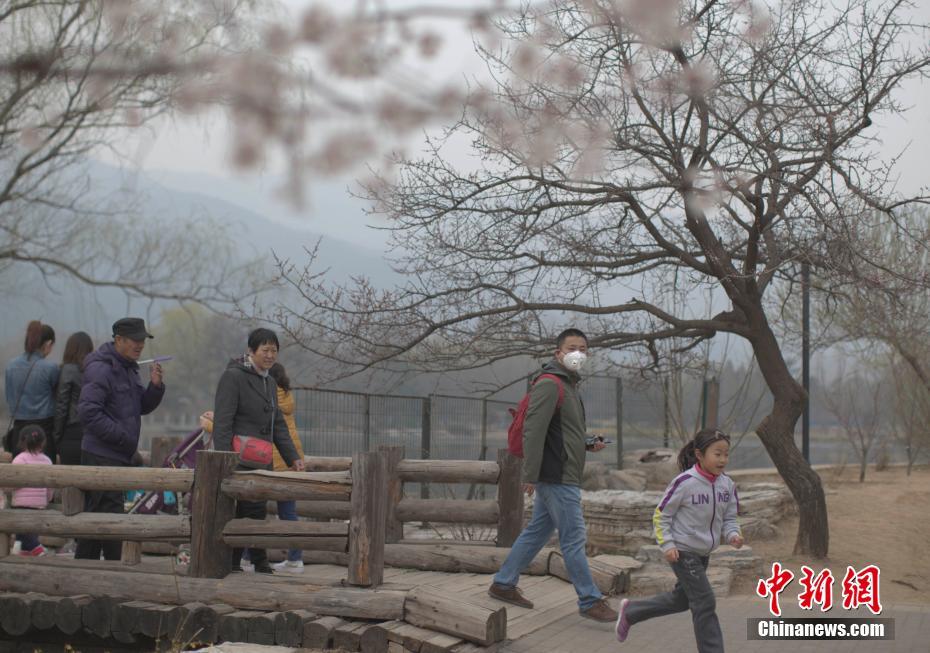 少妇愉情理伦片高潮韩国电影