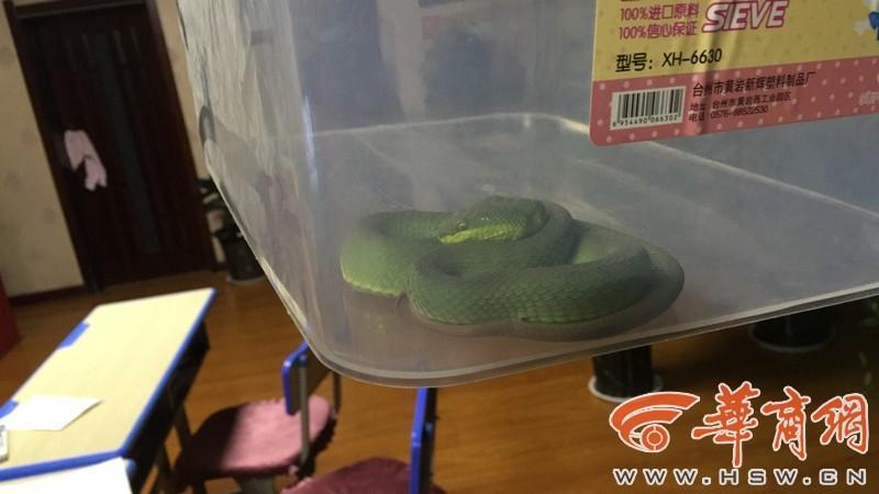 国产伦理精品一区二区三区玉蒲团