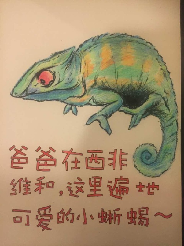 综合二区