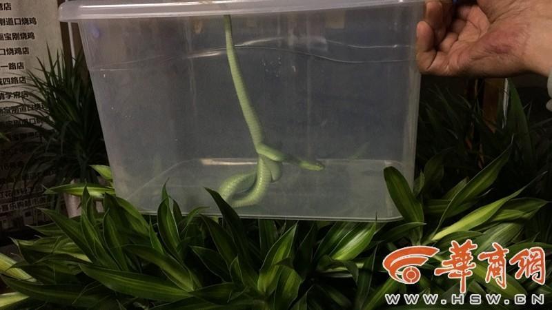 www.17.com嫩草影院