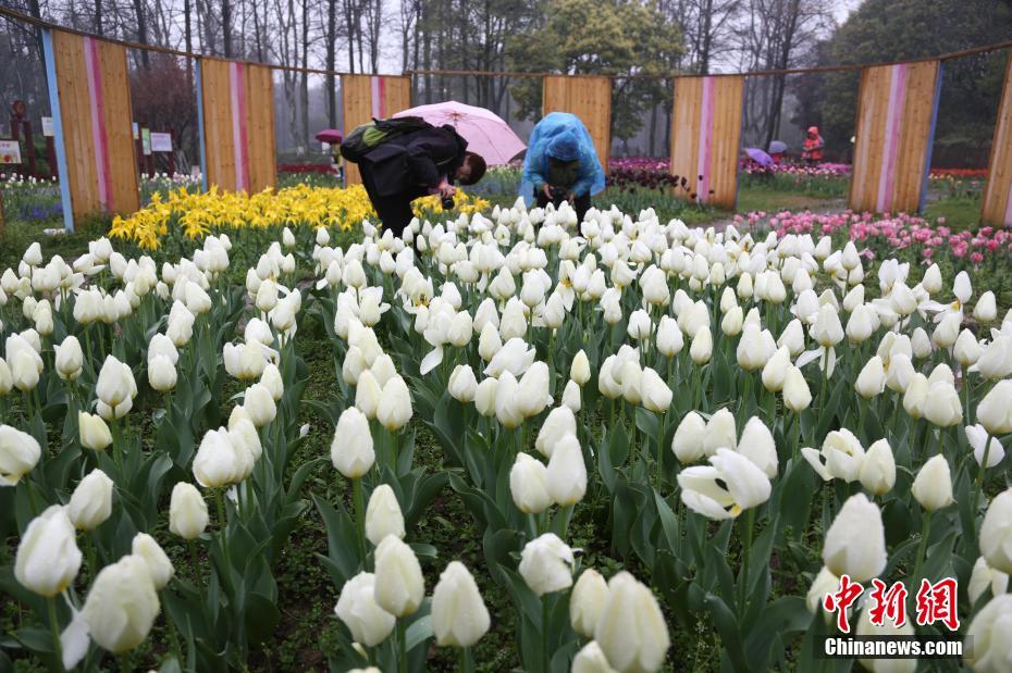 苍苍影院理论片