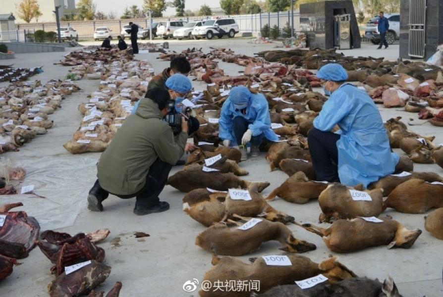 国产成人a亚洲精品