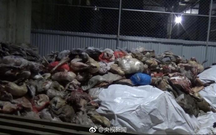 黄色视频下在过程网站