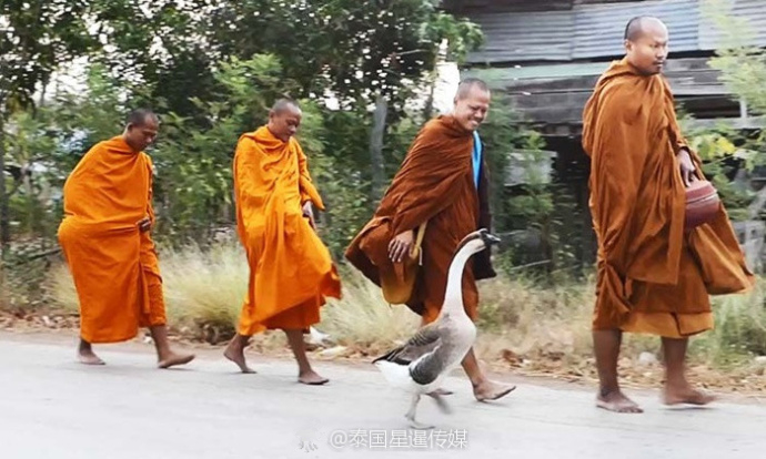 日本一级A片