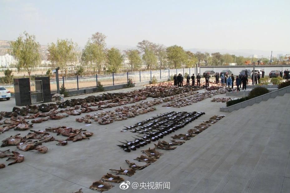 美女免费黄色网站