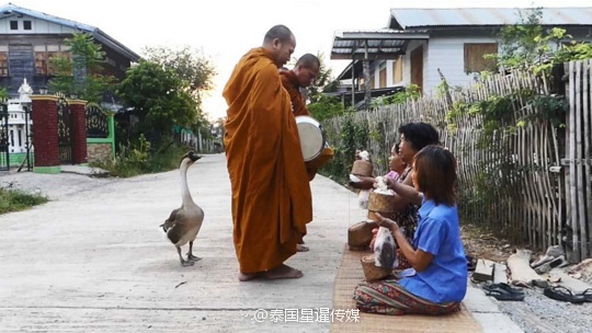 黄片怎么下载