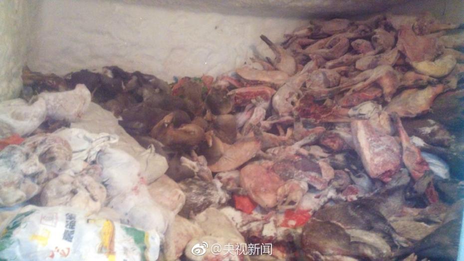 小孩半夜喂姐姐吃萝卜游戏