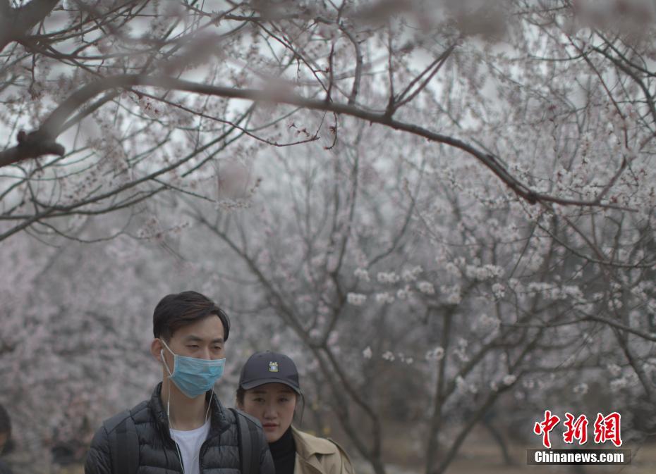 李纯