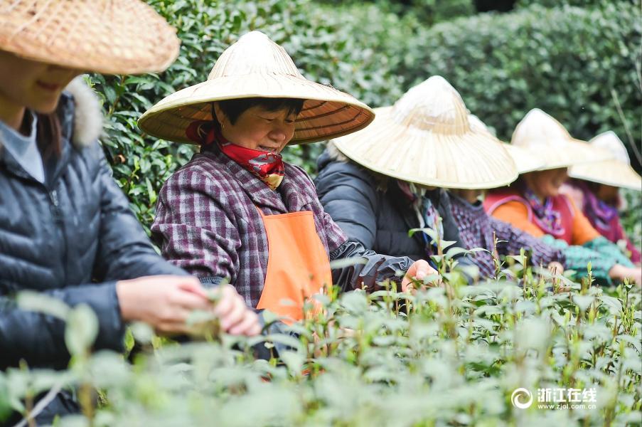老师脱 给学生玩 动漫
