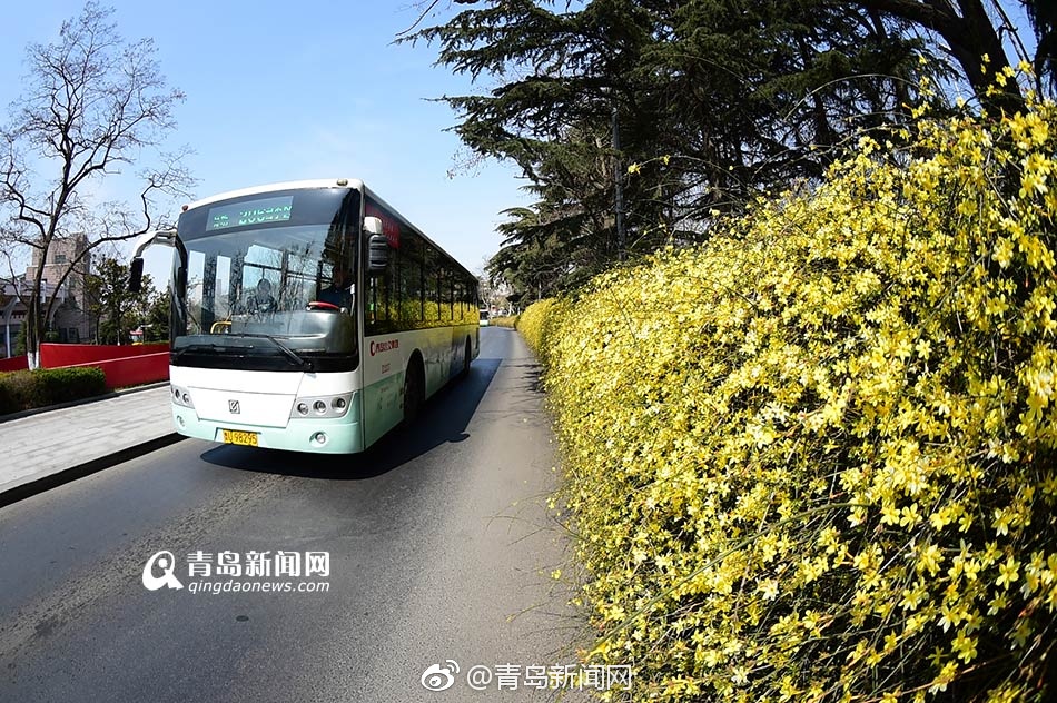 美女Av在线一区