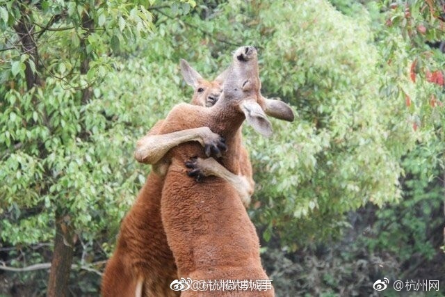李宗瑞全集