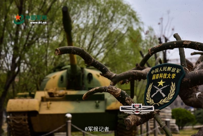 黄色网站在线浏览