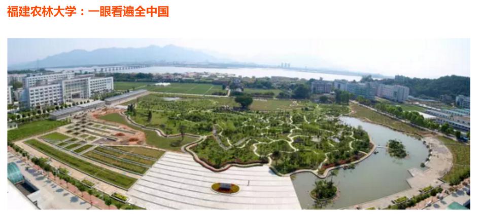 可以免费黄视频的网站