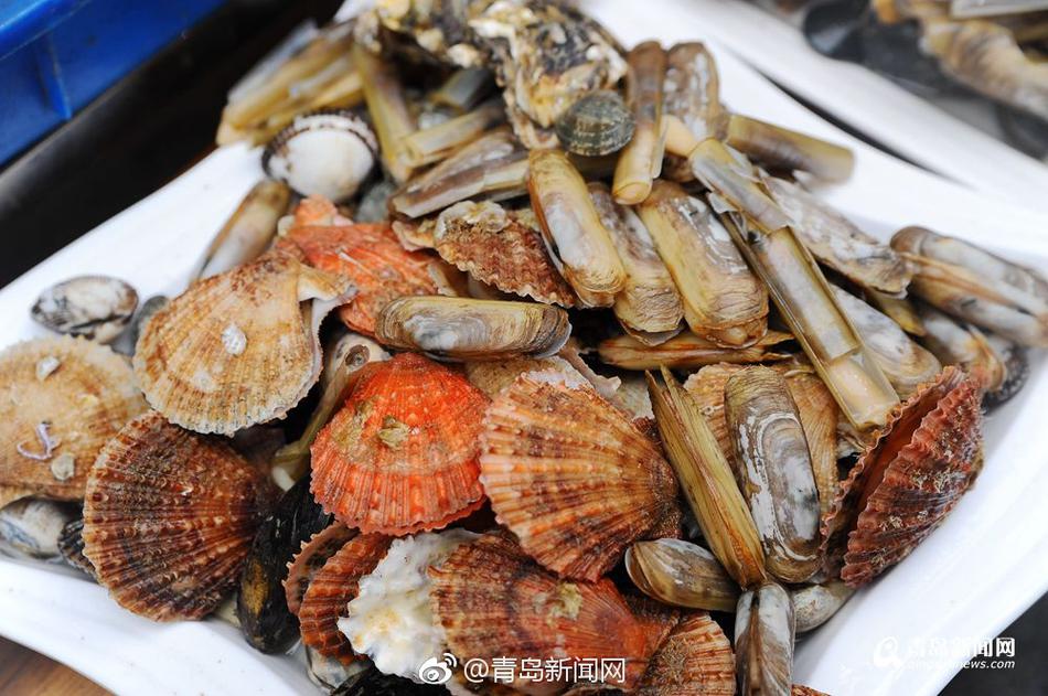 簧片在线免费一区