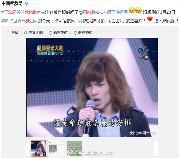 正能量你懂我意思你会回来感谢我的意思是樱花