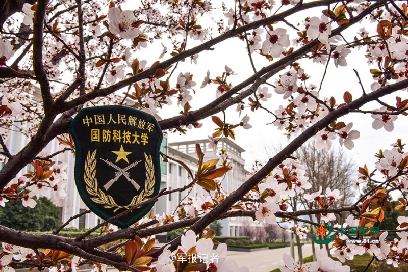 www.天天干