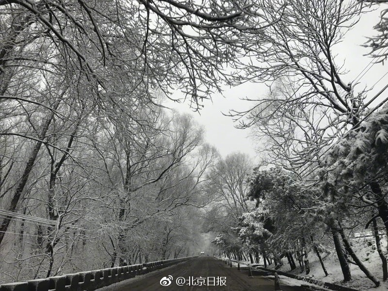 免费看孕妇毛片子