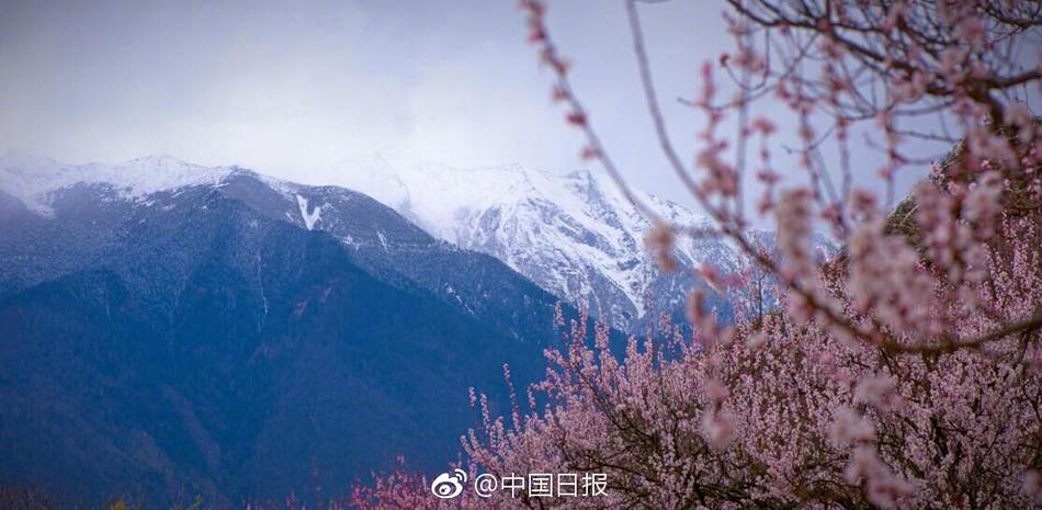 変態紳士倶楽部