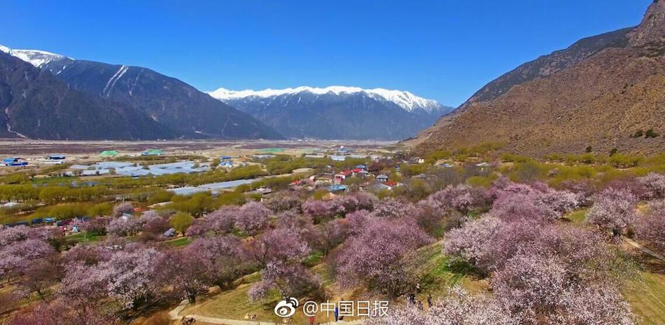 一区二区三区在线
