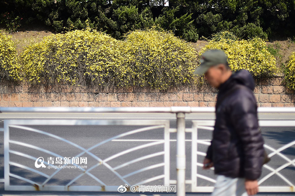 黄色小说交换夫妻