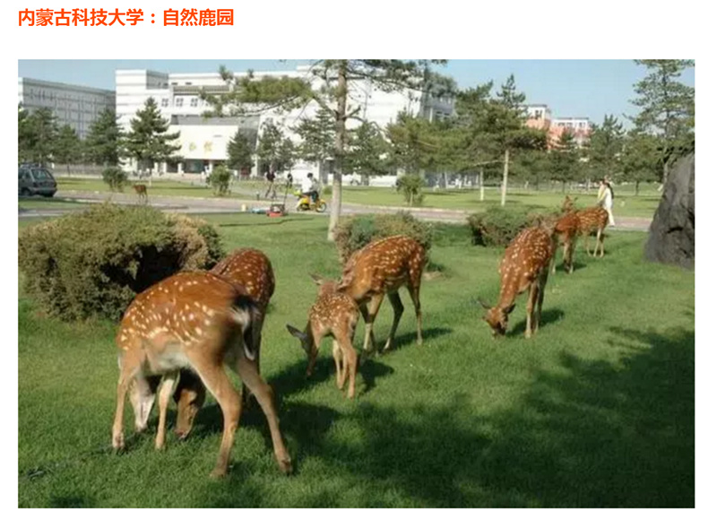 黄色网站1