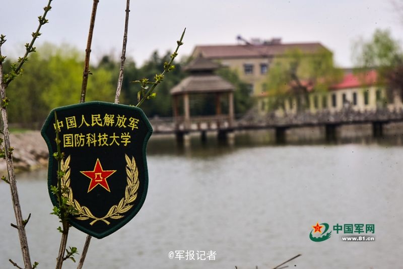 黄色 网 在线