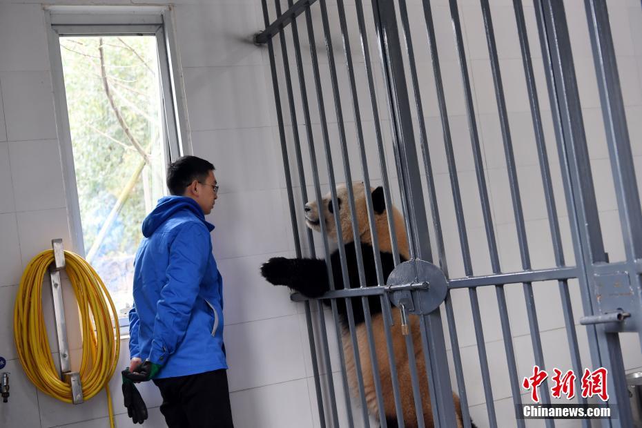 台湾三级毛片