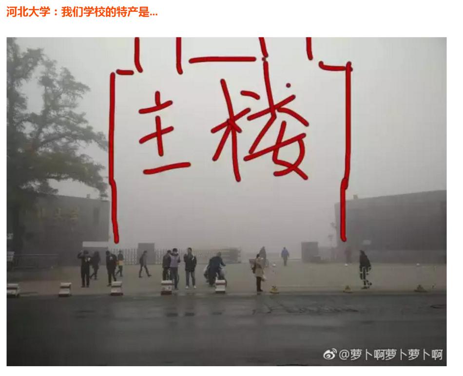 国内熟女视频