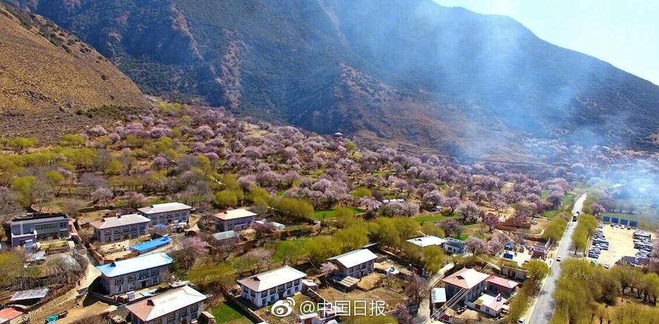 健身小葉