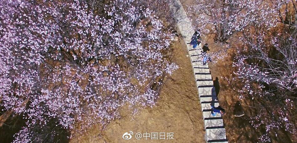 免费AV在线