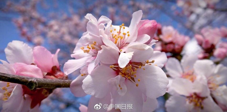 大奶自拍