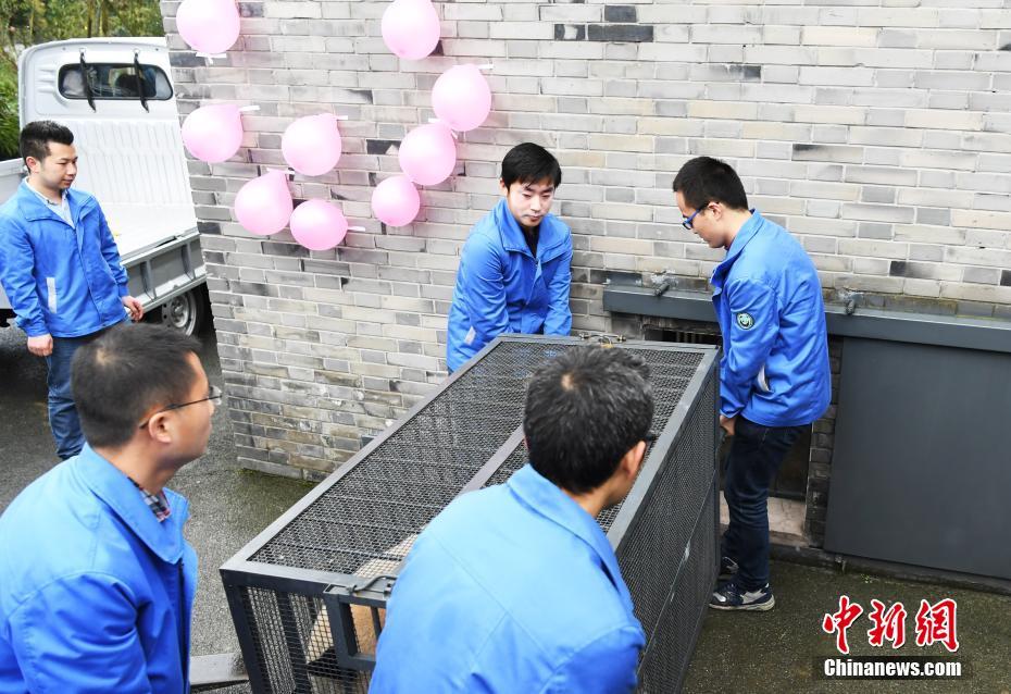 雷神触摸3.0无限亲密值