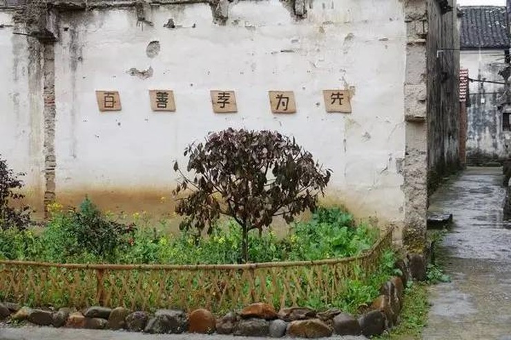 浓精灌孕h校园5v 1