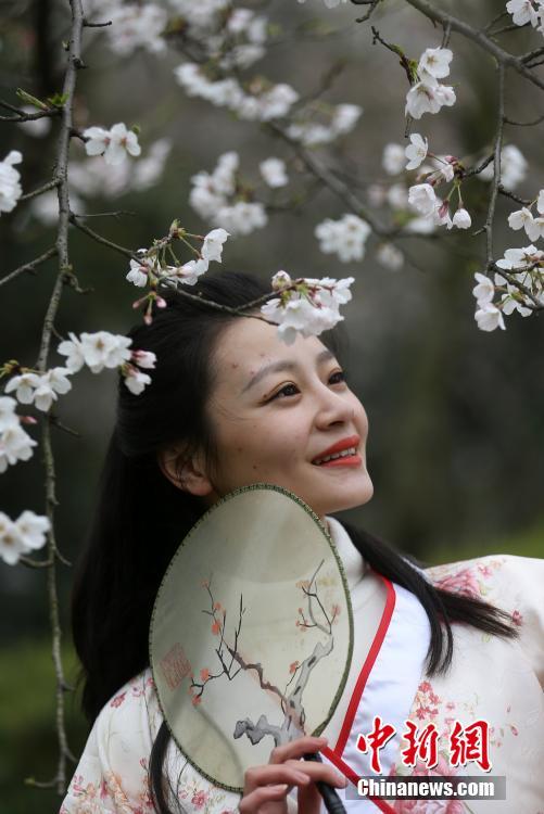 欧美黄色人体录相