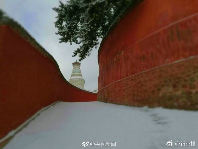 裸拍族