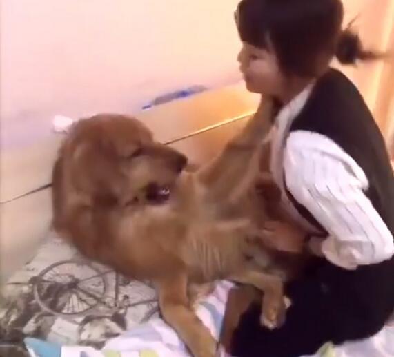 一级片毛片