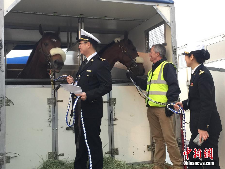 AAA黄片