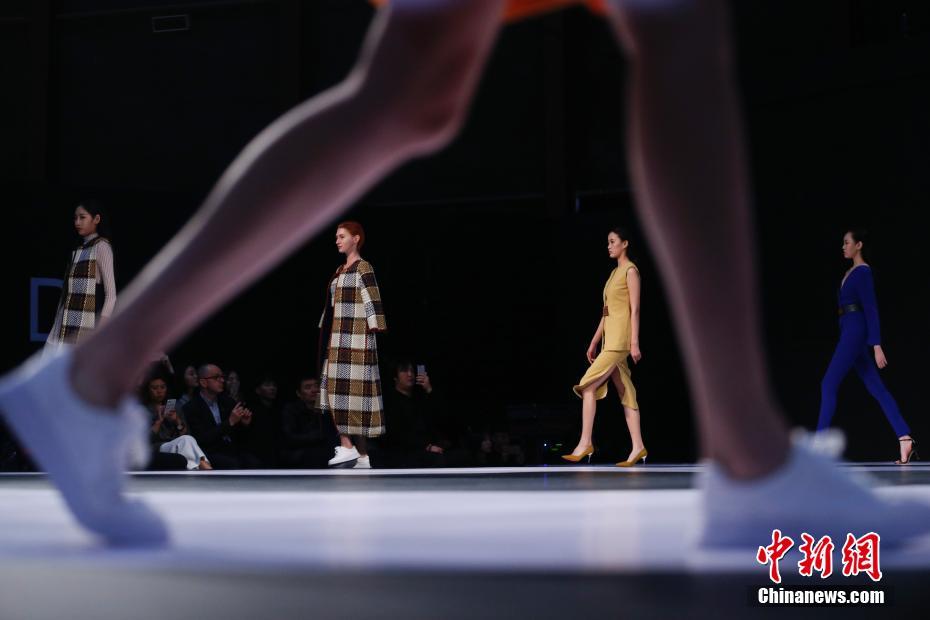 美国女人与狗操B视频