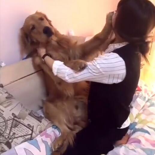 欧美阴毛多Xx