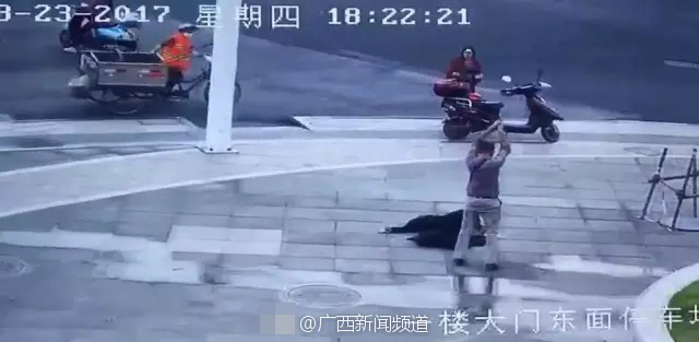 不知火舞裸体无遮挡