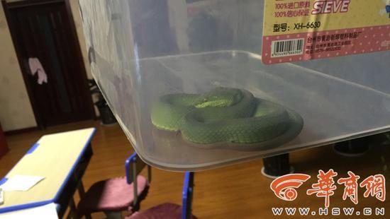 国产不卡在线