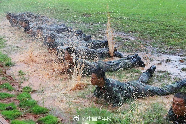 精品不卡