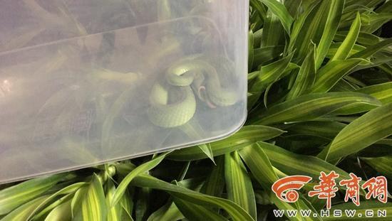 Av无码Hd在线