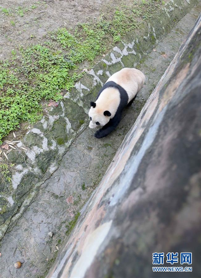 激情婷婷