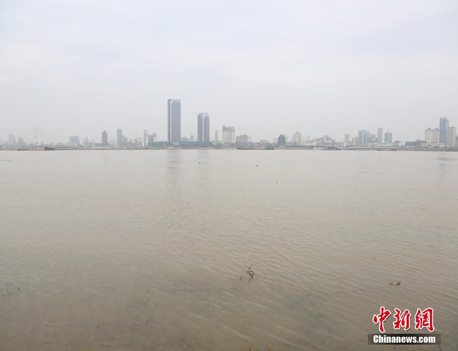 欧洲多毛裸体