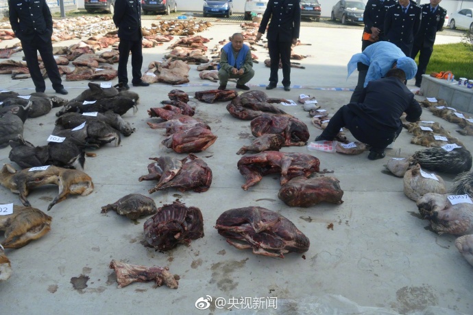 黄色网站视频在线观看