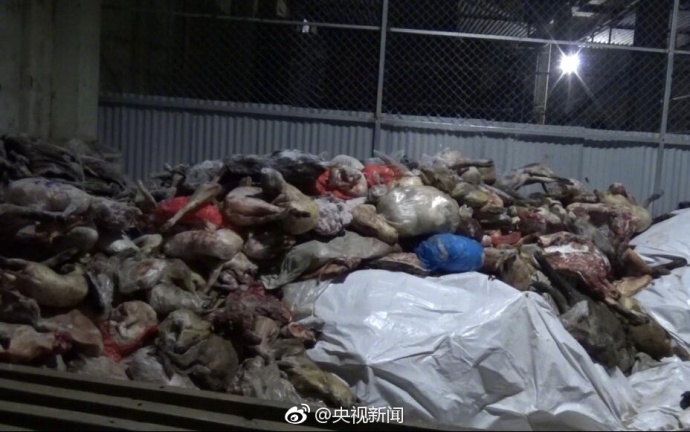 男人和女人日逼视频