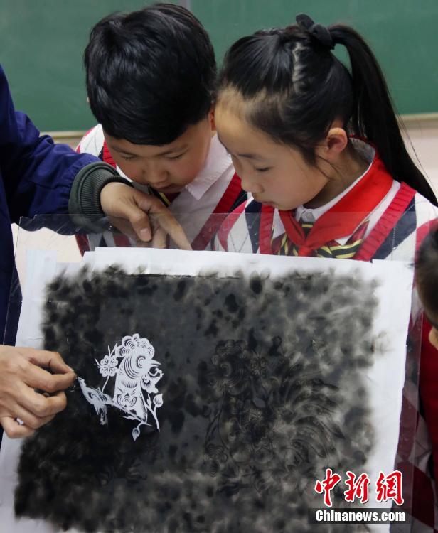海贼王之娜美女帝齐上阵漫画